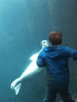 i13342921029.gif