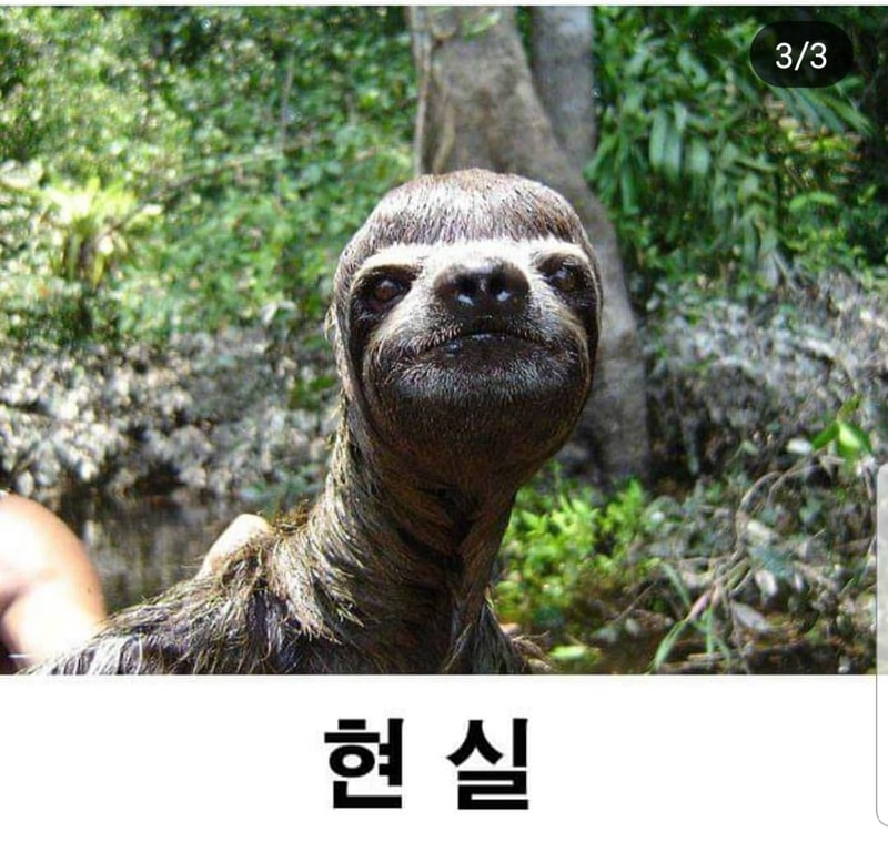03.jpg
