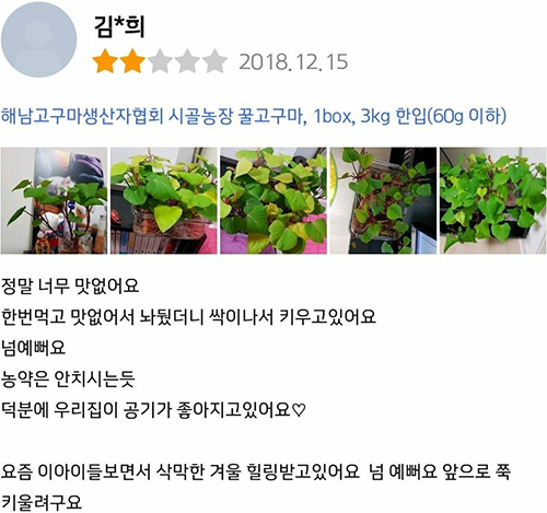 흔한고구마 구매 후기.jpg