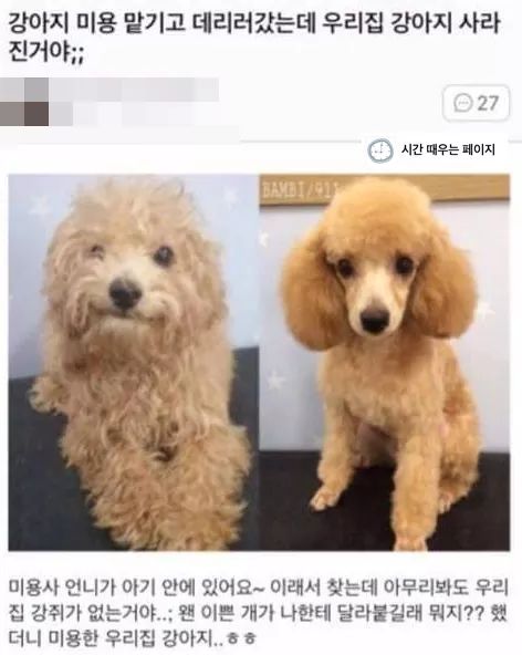 대 애견미용실의 효과.jpg