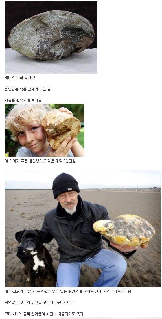 7000만원 돌.jpg
