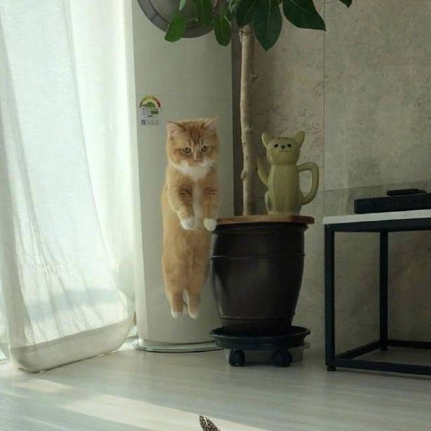KakaoTalk_20191127_185732430_01.jpg