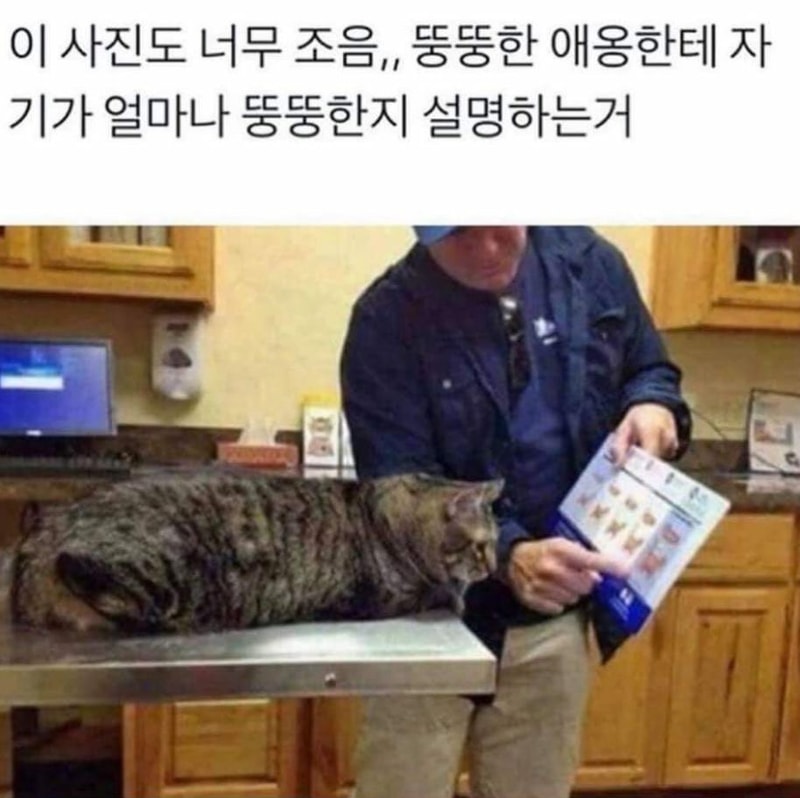 KakaoTalk_20190906_182055078.jpg