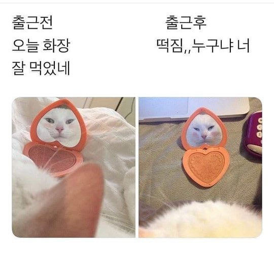 KakaoTalk_20191008_191335477.jpg