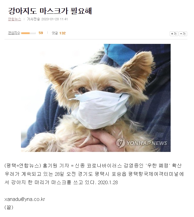 강아지마스크.jpg