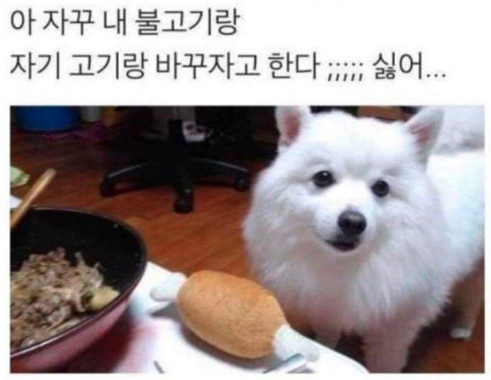 dfdas.jpg
