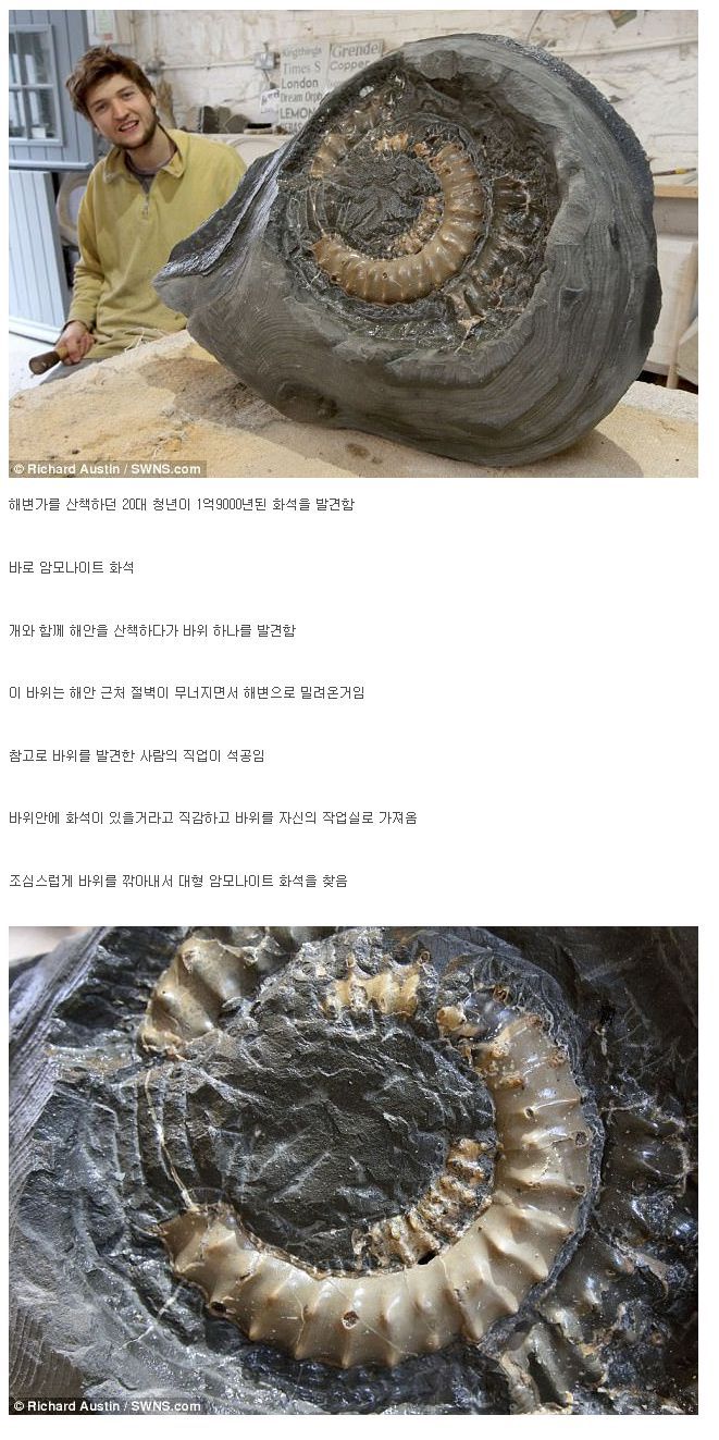 개랑 산책하다 발견한 화석.jpg