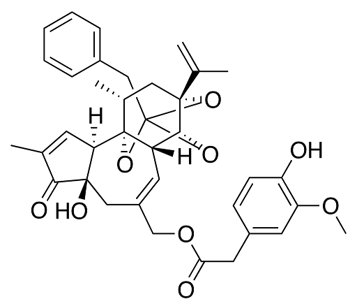 5e2cf89a078b1.png
