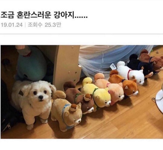 KakaoTalk_20191004_173321829.jpg