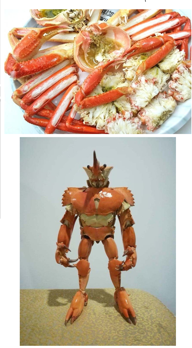 대게껍질의 재활용.png