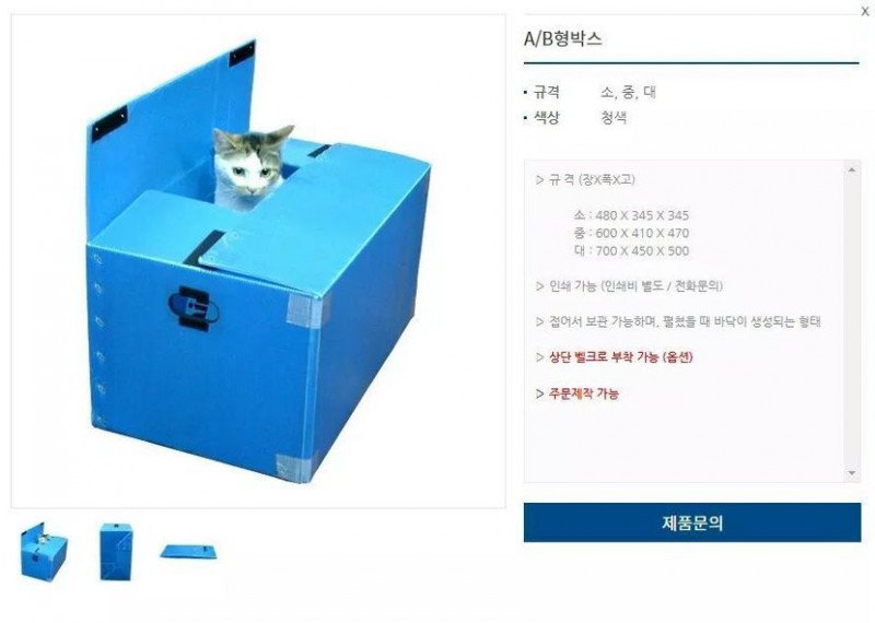 뜻ㅂ밖의 피팅모델 2.jpg