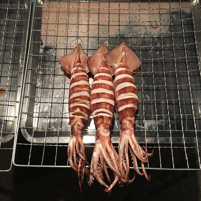 오징어.jpg