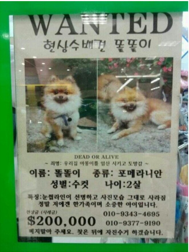 현상금.png