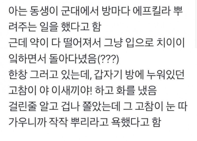 플라시보효과.jpg