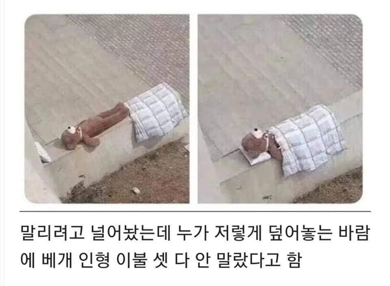 KakaoTalk_20191023_162804050.jpg