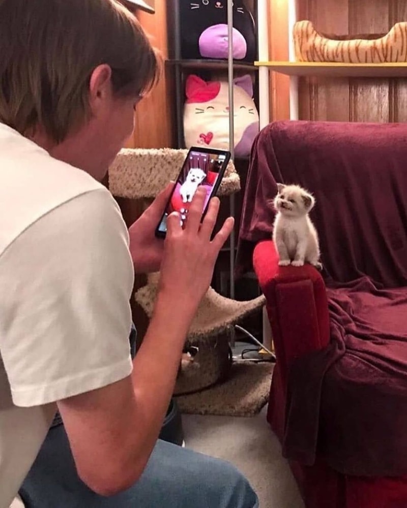 고양이1.jpg
