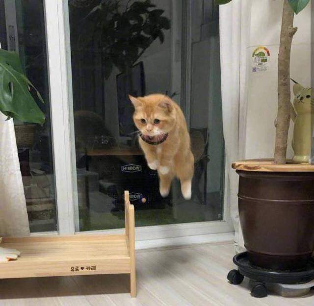 KakaoTalk_20191127_185732430_05.jpg