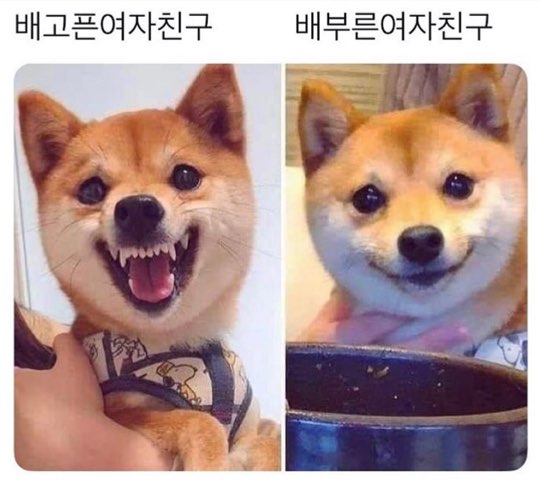 KakaoTalk_20190920_183832870.jpg