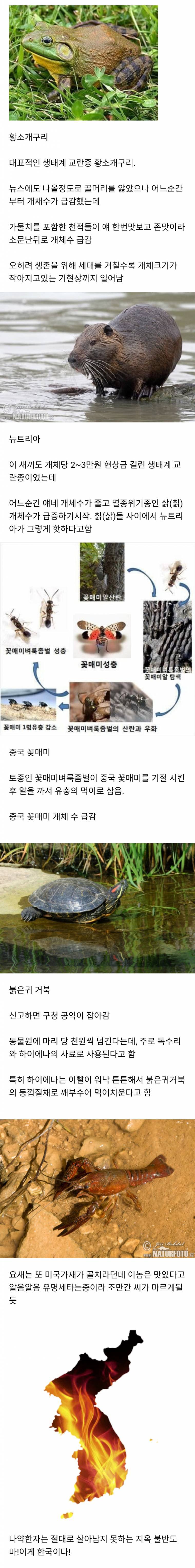 생태.jpg