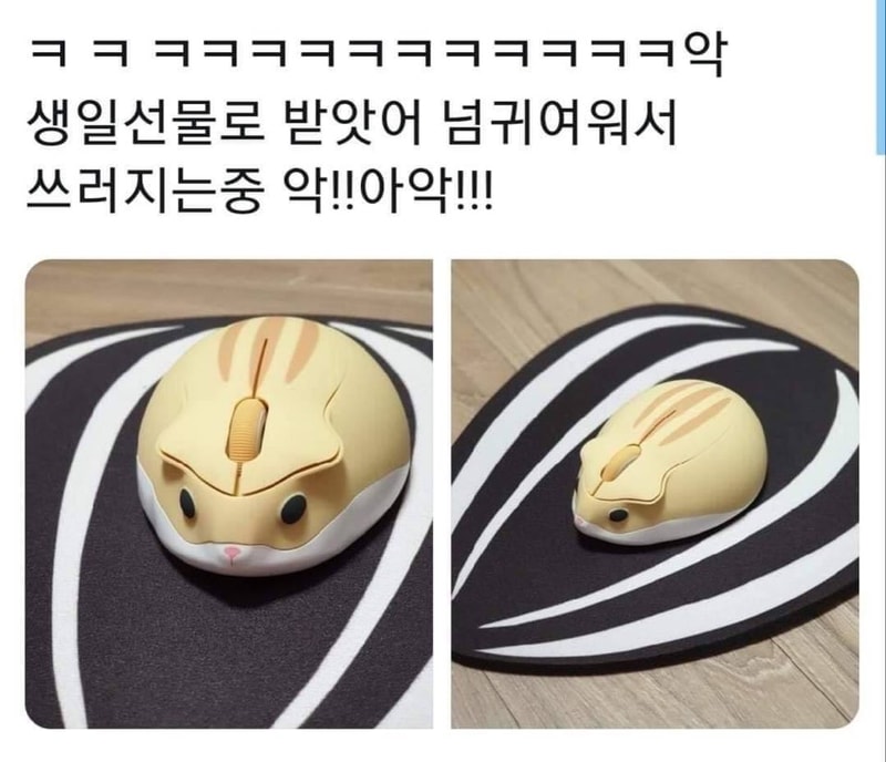 KakaoTalk_20191118_153958582.jpg