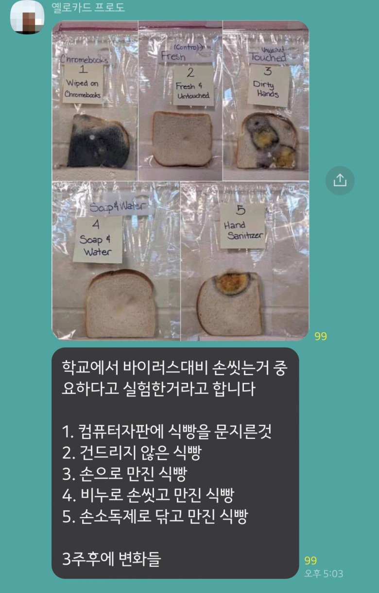손.jpg