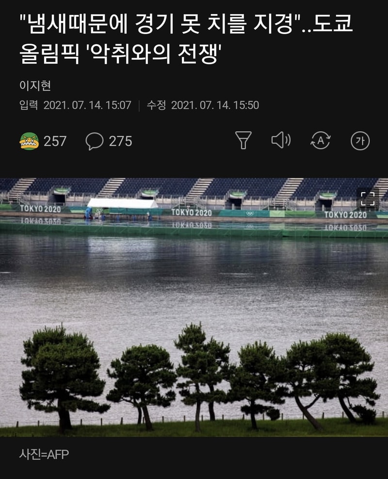 01.jpg