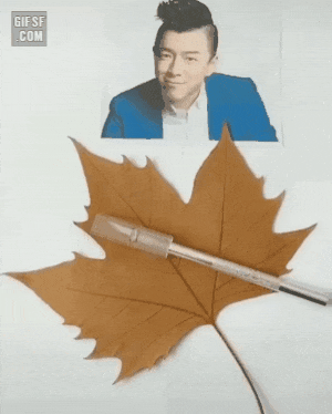 20190430_123528.gif