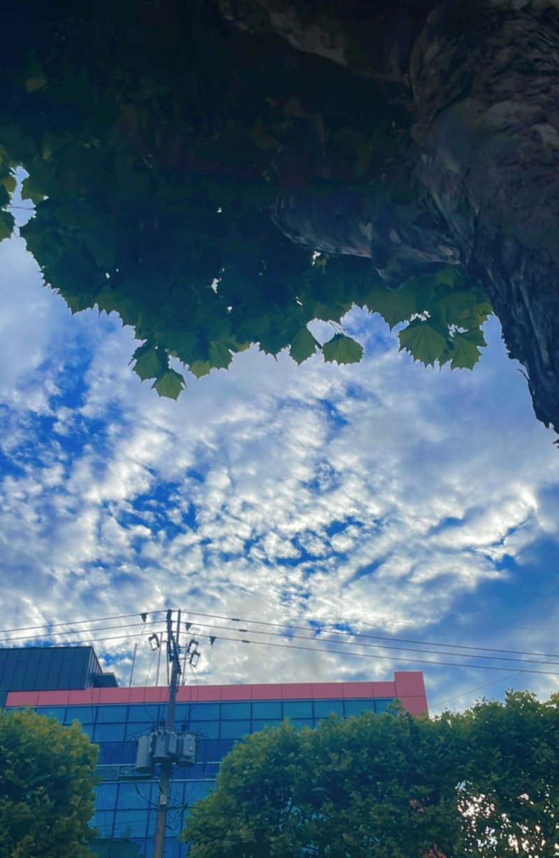 031E0BBF-DC7B-4BCD-8DB8-56122482ECA4.jpeg