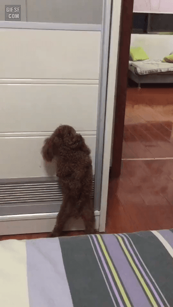 hzyFLLc.gif