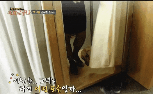 20190512_173853.gif