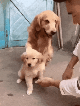 20190505_163710.gif