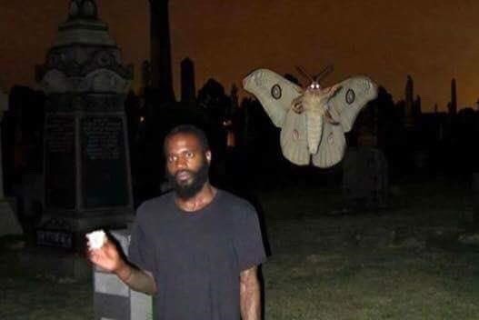 현실판포켓몬.jpg