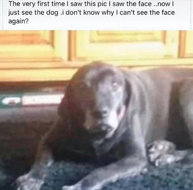 1655669547000.jpg