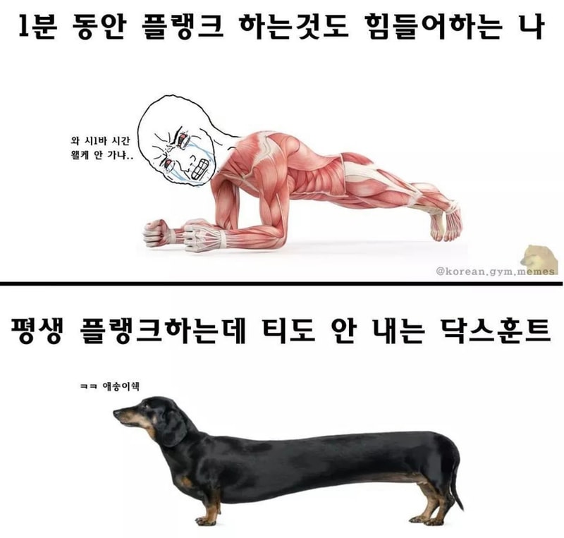 AD0F16F5-A8C1-45C1-8EE1-B12E8D7B7921.jpeg