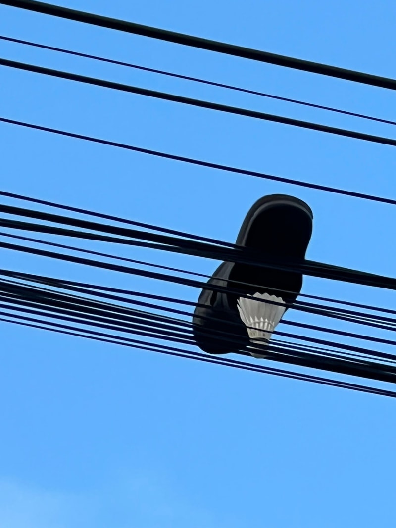 0227058B-61CB-4D51-9622-9810070D596E.jpeg