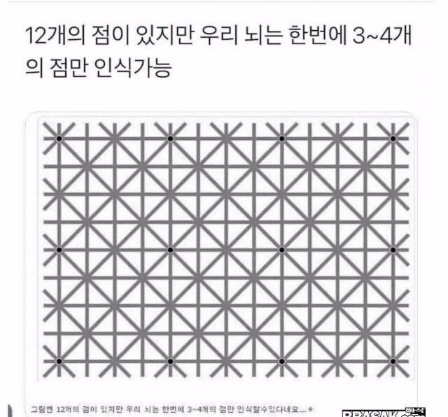 E315FE54-1F62-4FF3-9327-F125B0DBB24E.jpeg