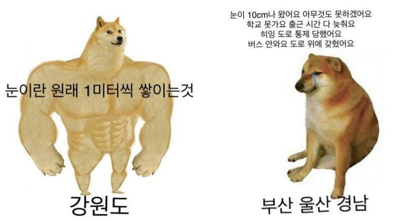 눈.jpg