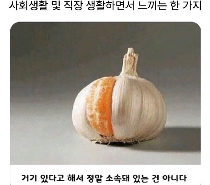IMG_0343.jpeg