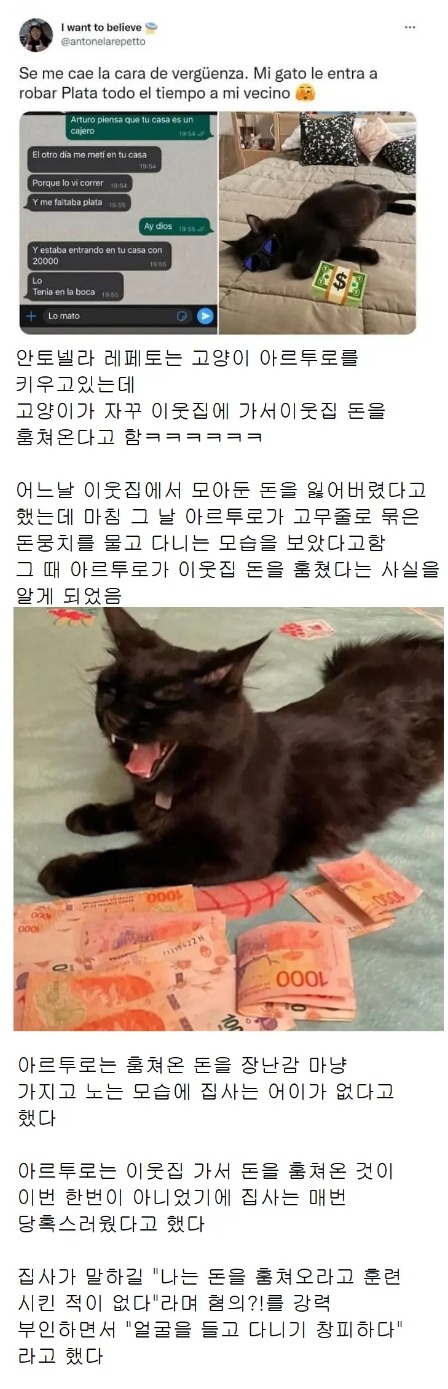 웹 캡처_16-11-2022_101045_m.bboom.naver.com.jpeg