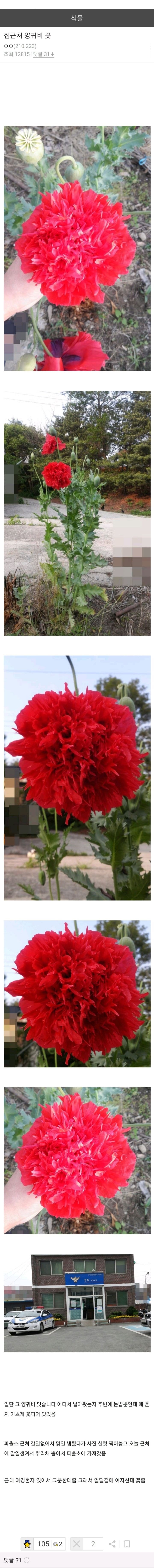 얼떨결에_여자한테_꽃줌.jpg