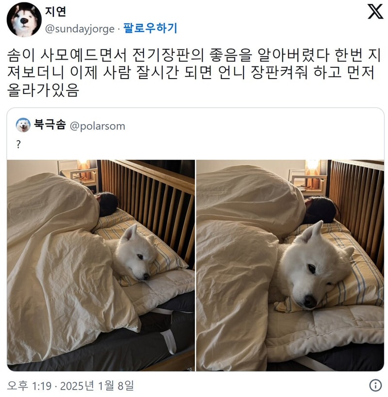 66e6eb640a593fe72f0ecf85b8cdba31a1a4740a.jpg