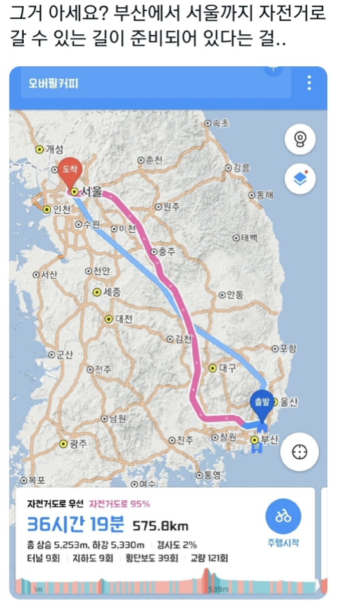 003161cf0164300d31841110.png