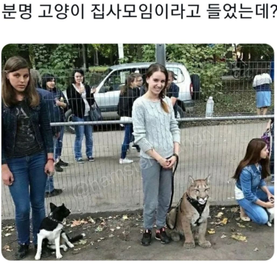 1111.jpg