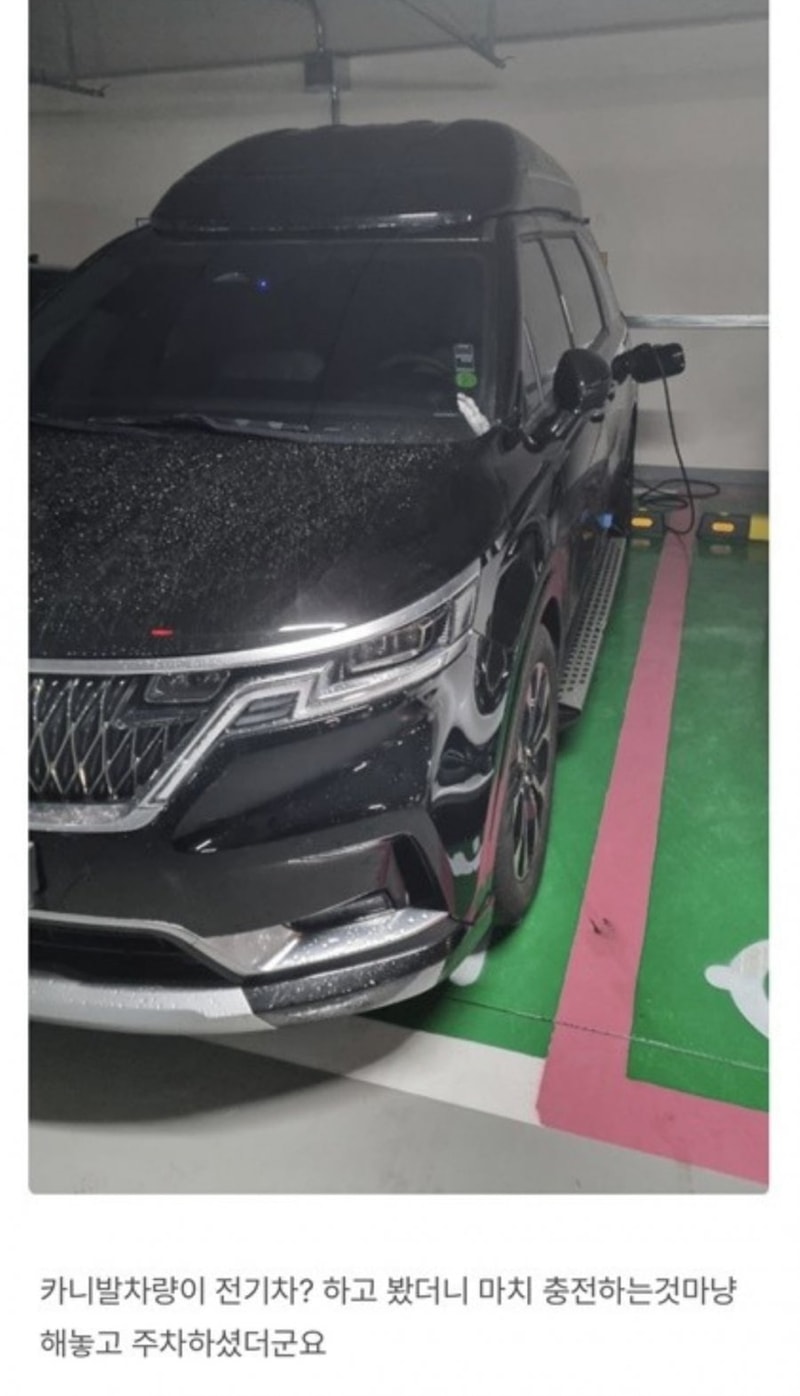 카니발 전기차 발견