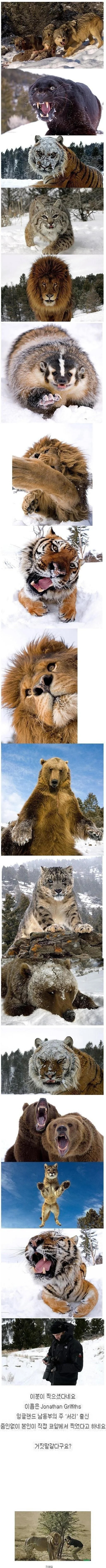 Untitled-2.jpg