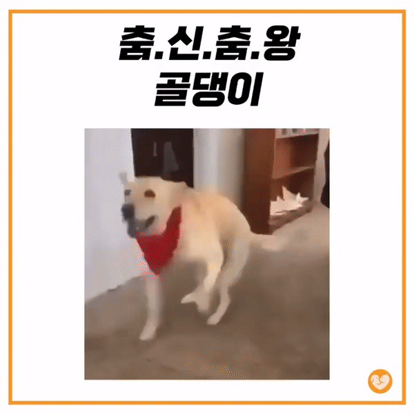ezgif.com-gif-maker_1.gif