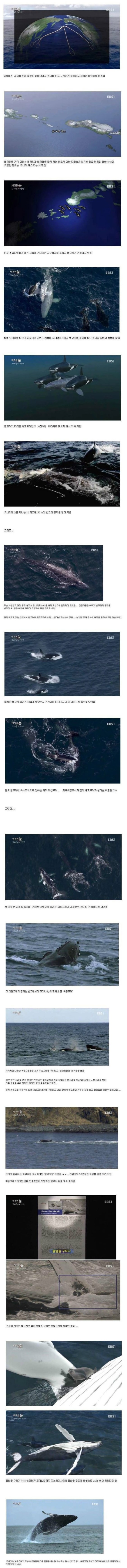 Screenshot 2022-04-12 at 23.47.55.jpg