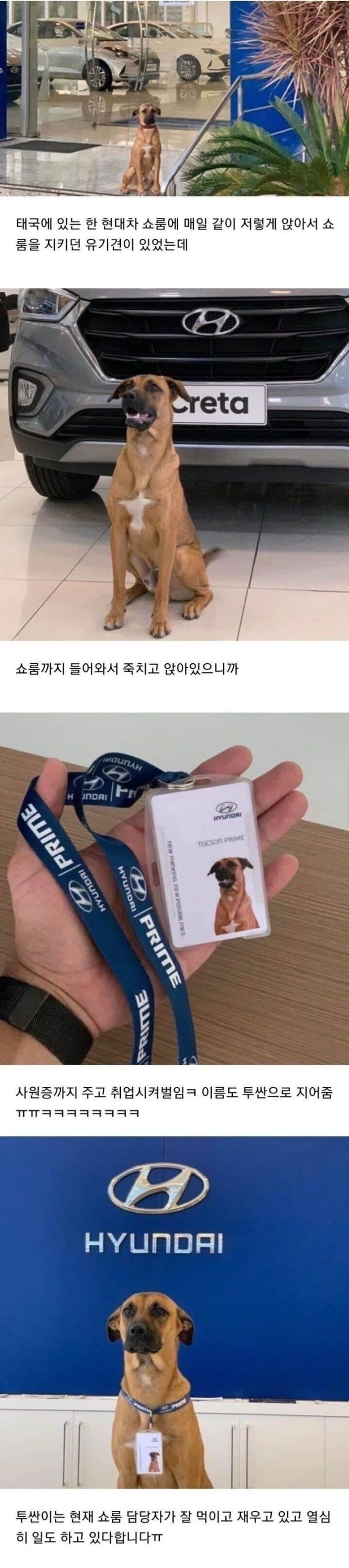 singbung－20220831－113600－0001－UOAD4uuy.jpeg