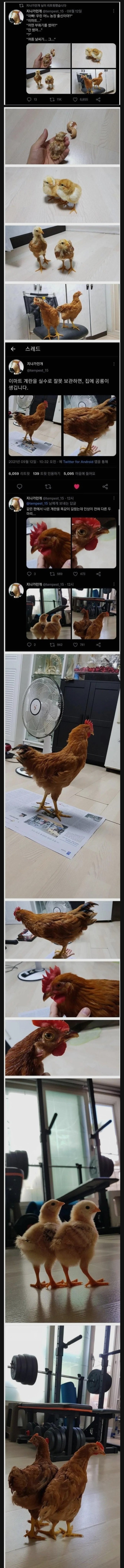 17522902952754.jpeg