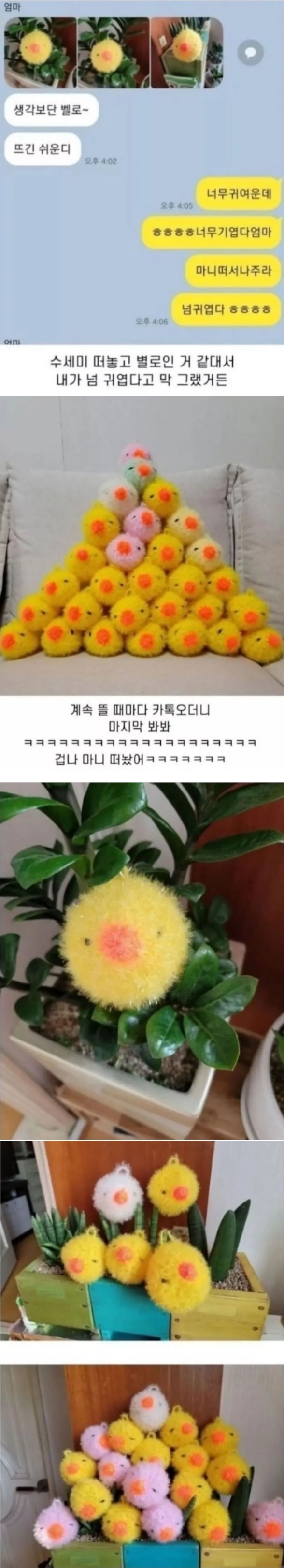 웹 캡처_25-11-2022_93035_m.bboom.naver.com.jpeg